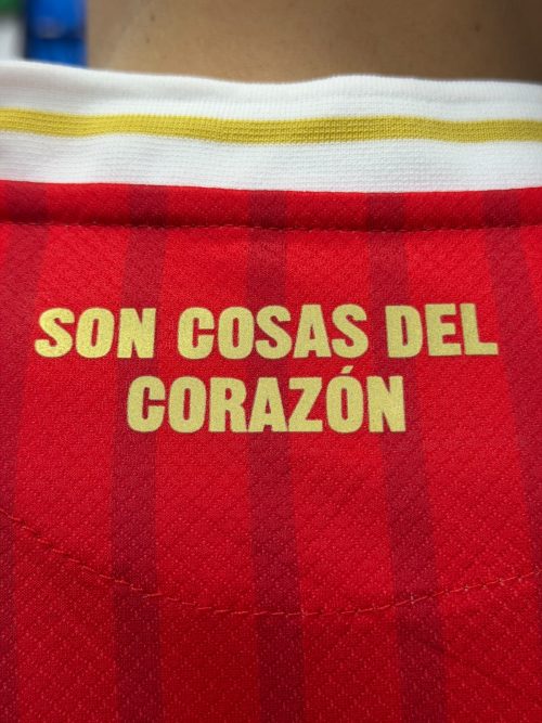 CAMISETA AMÉRICA