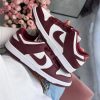 a370a43c-101d-40a0-a533-b610d5890352.jpg N1k3 SB DUNK LOW